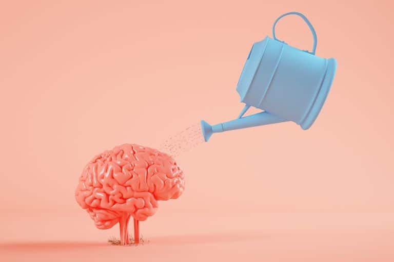 brain and a watering can